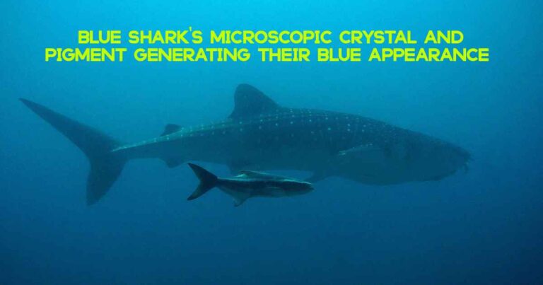 🦈✨ These Sharks Don't Just Glow – They Use Nanotech to Shift Color Underwater!